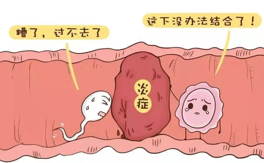 供卵费是多少[广州传承生殖医学试管成功率],保定能做试管婴儿的医院排名