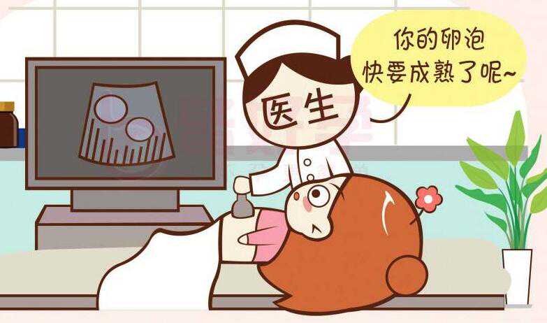 广州精因宝贝官网[试管供卵公司],绵阳三代试管婴儿医院步骤是什么