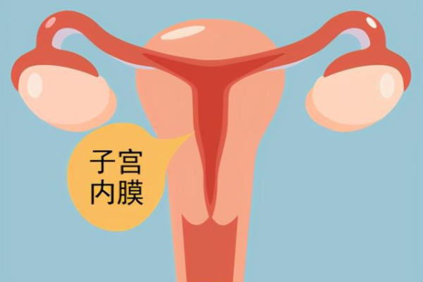 上海试管选性别费用多少，上海试管流程