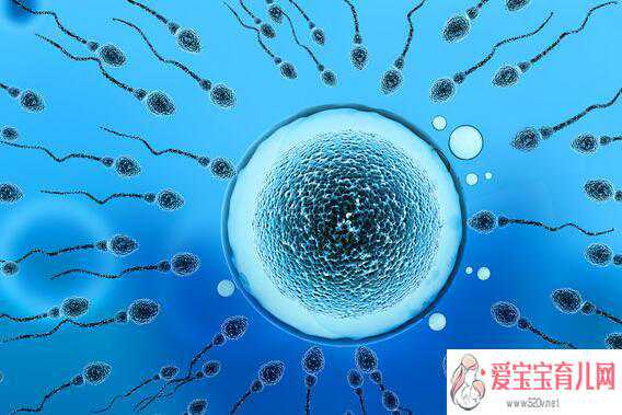 宁河价格代孕多少钱,二胎不孕可以做试管吗_胚胎4aa成功率是多少-试管人工周期