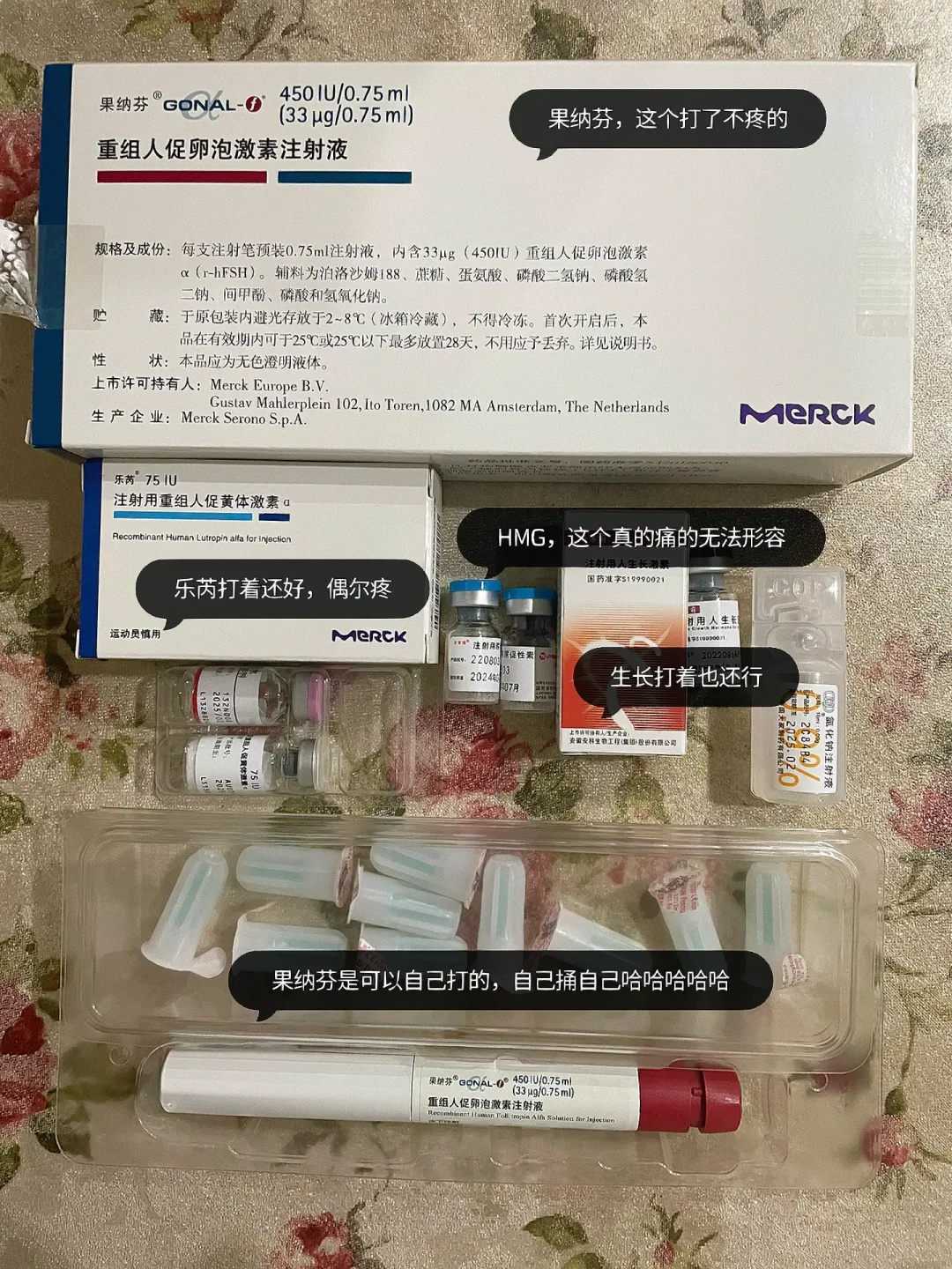 广州辅助生殖全解析：试管助孕、代怀与费用考量