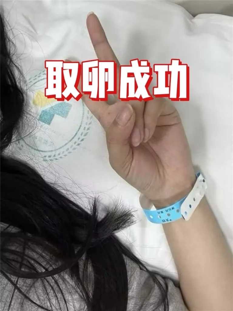 辅助生殖探秘：试管婴儿医院选择、周期与费用全解析