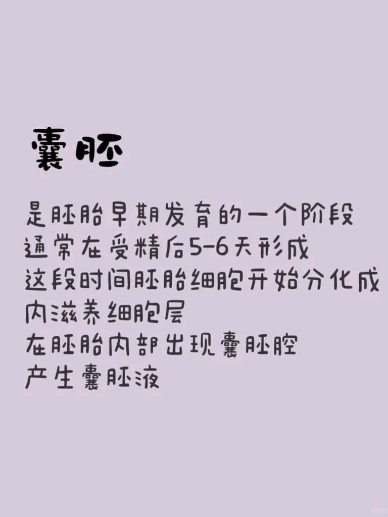 重庆三代试管婴儿生男孩深度解析：优选助孕医院与成功率探秘