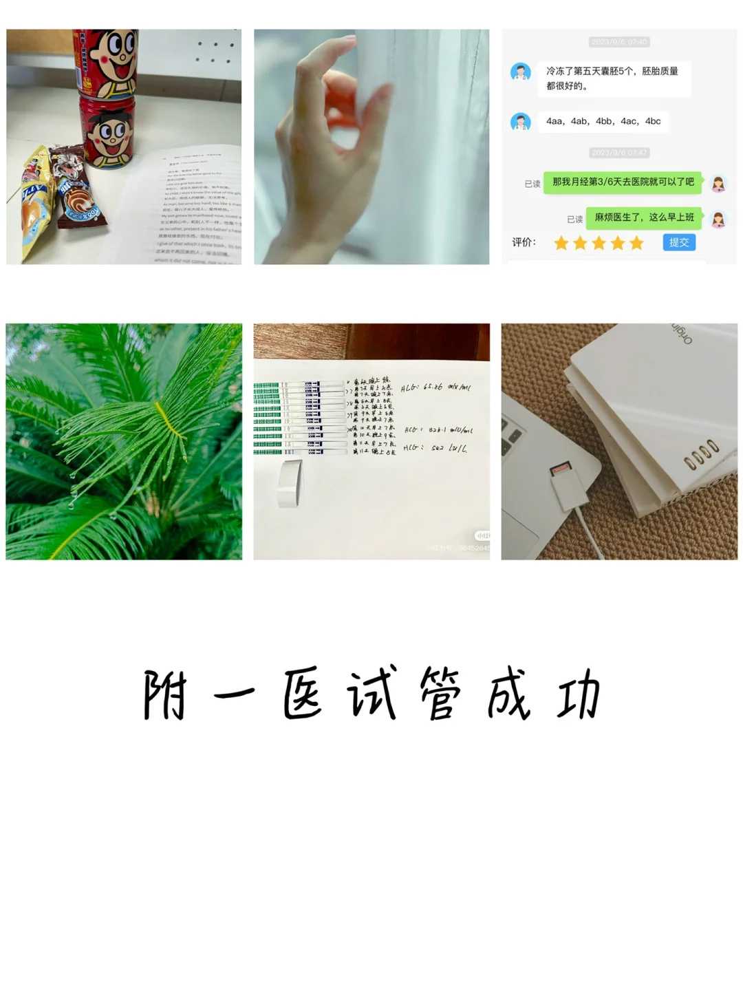 北京助孕：怀孕初期能告诉别人吗？深入了解流产风险与辅助生殖策略