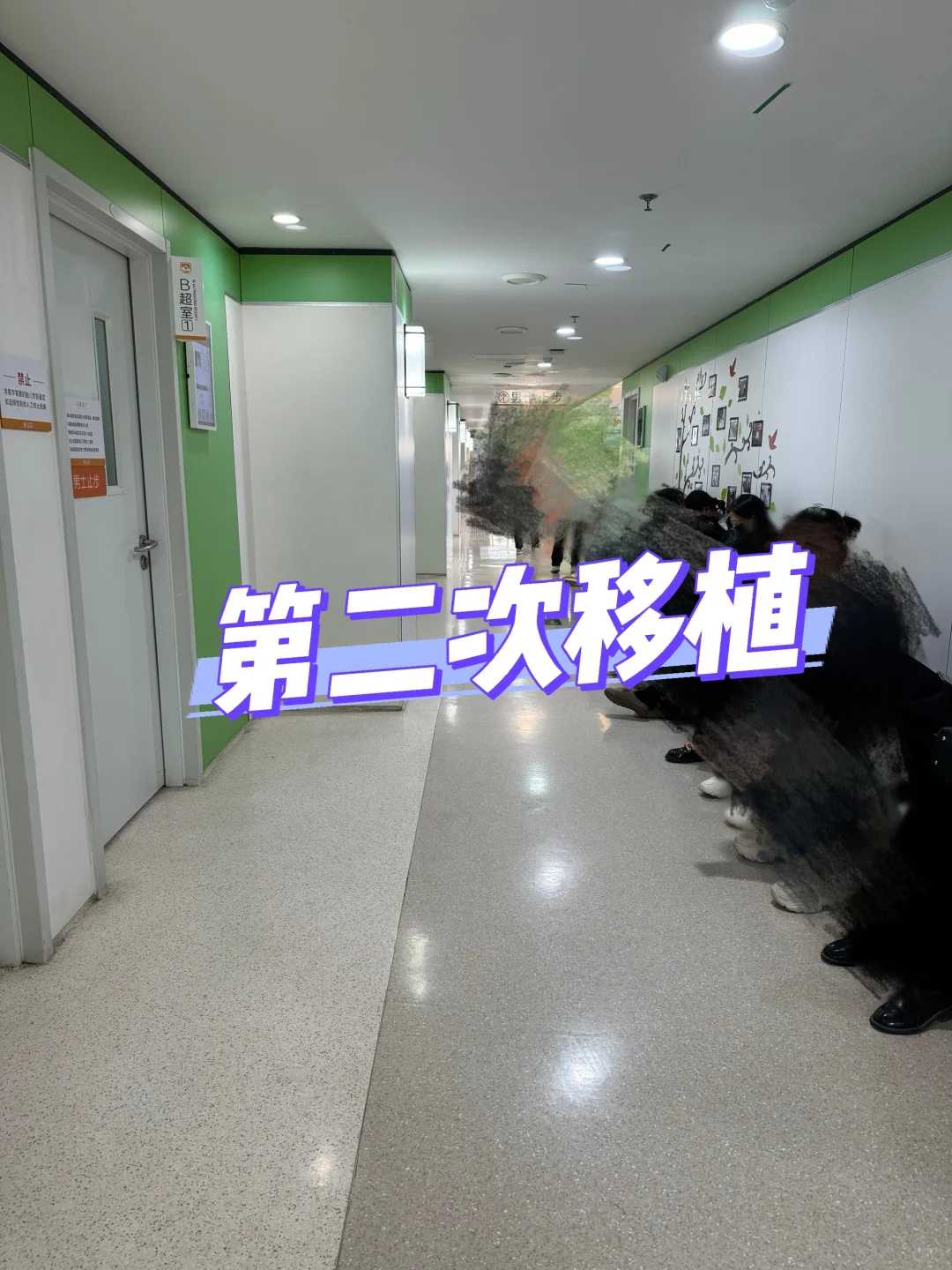 北京准妈妈：怀孕初期能告诉别人吗？科学解读与辅助生殖考量