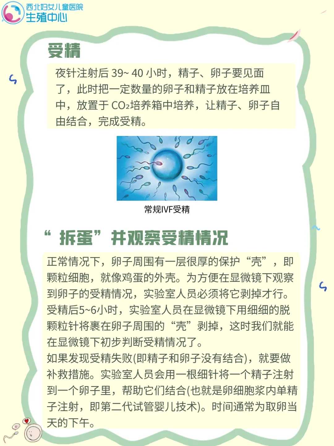 辅助生殖机构解析：试管助孕服务与费用考量