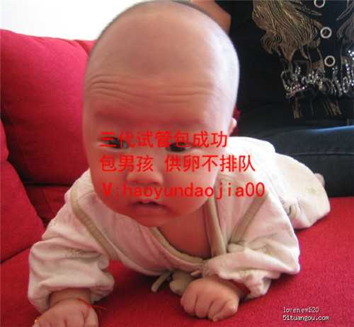 上海代孕流程_卵巢早衰做供卵试管成功率多少_世纪供卵试管_新世纪卵巢保养计