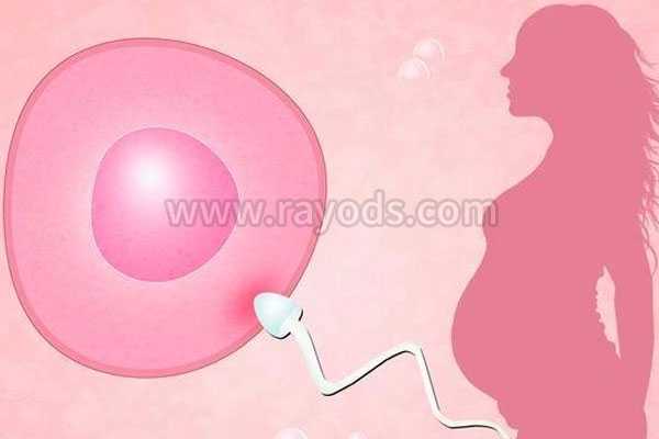 恩施添丁国际助孕中心_卵巢早衰试管助孕，3个建议教你提高胚胎着床率