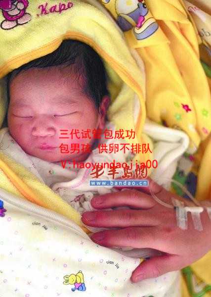 我想在上海找个代妈_代孕的宝宝能上户口吗？_试管婴儿治疗有严格适应证要求