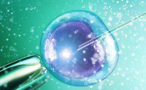 试管婴儿胚胎移植后 你的冰箱里该放哪些吃的_6h2I3