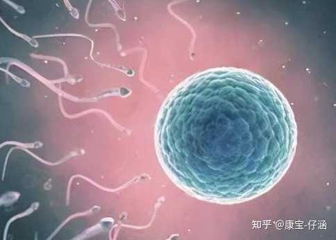 上海供卵试管哪里有医院,在上海第六人民医院做一次试管婴儿要花多少钱？